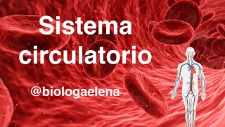 Sistema Circulatorio  Conceptos generales  Biología [upl. by Eikceb523]