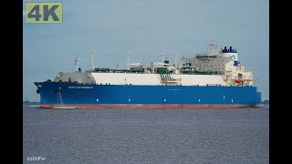 MARAN GAS MARSEILLE  Shipspotting Germany 🇩🇪 IMO 9924869  River Elbe near City Otterndorf  4K [upl. by Rie]