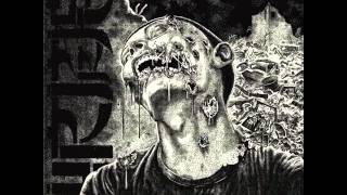 Wormrot  Dirge Full Album [upl. by Novej201]