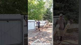 Yard Cleanout in Boise Idaho [upl. by Doggett]