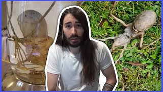 Charlie Reviews Alien Evidence  MoistCr1tikal [upl. by Naiditch]