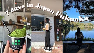 Follow me to Japan  Fukuoka vlog Beppu onsen park Japanese street food Beppu ropeway Yufuin [upl. by Yeltnerb865]