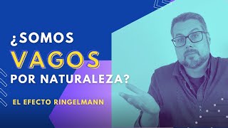 🥱 ¿Somos vagos por naturaleza 👉 El Efecto Ringelmann [upl. by Hallee]