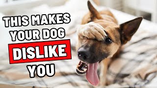 7 Dog Myths That Make Your Dog Dislike You Stop Before Its Too Late [upl. by Iadrahc]