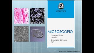 10 Microscopio Campo claro oscuro DIC [upl. by Atnahc]