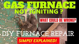 Gas furnace not igniting  Goodman furnace wont ignite  DIY Gas furnace repair [upl. by Ambrose]