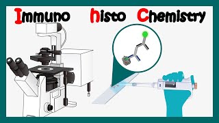 Immunohistochemistry  How to perform immunohistochemistry  application of immunohistochemistry [upl. by Boyer]