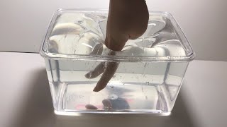 Como hacer un SLIME súper fácil y con ingredientes que tienes en casa Sin borax almidón etc [upl. by Naesal670]