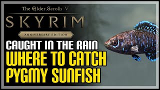 Pygmy Sunfish Locations Skyrim How to Catch Pygmy Sunfish [upl. by Yregram]