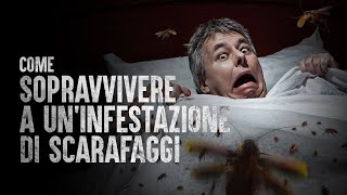 Come Sopravvivere a uninfestazione di Scarafaggi [upl. by Ahsekahs]