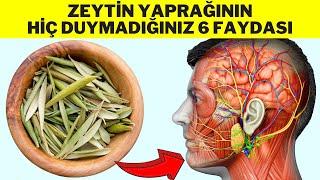 ZEYTİN YAPRAĞININ FAYDALARI  Zeytin Yaprağı Çayı Nasıl Yapılır  Zeytin Yaprağı Çayının Faydaları [upl. by Kentiga]