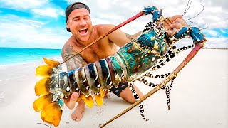 Giant Rainbow Lobster Catch And Cook On Remote Beach [upl. by Hola]