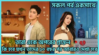 Fireworks of my heart  Chinese drama  All parts in Bangla  love story 💞  Ariyas explanation [upl. by Ikcin730]