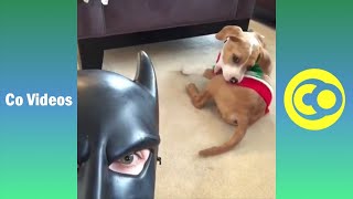 Top 100 BatDad Vines wTitles Funny BatDad Vine Compilation 2021 [upl. by Knipe]