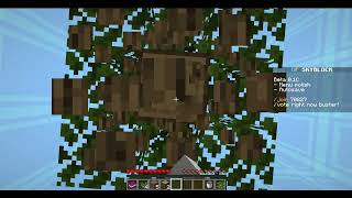 Playing DiamondFire Minigames Minecraft [upl. by Elbertine]