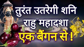 सिर्फ एक बैंगन तुरंत उतारेगी आपके जीवन से शनि और राहु केतु की महादशा YouTube [upl. by Ruthanne205]