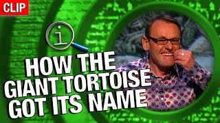 QI  How The Giant Tortoise Got Its Name [upl. by Sawyor]