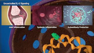 JAKSTAT Signaling Transduction Pathways [upl. by Chretien]