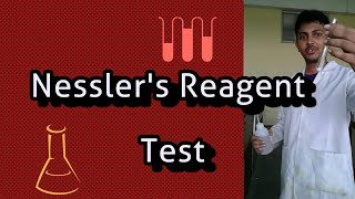 Nesslers Reagent Test [upl. by Oremar638]