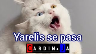 Yarelis se pasa CardinJa [upl. by Elockin]