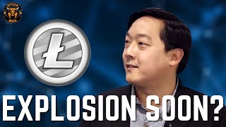 Whats Next For Litecoin  LTC Price Update 2024 [upl. by Pantia415]