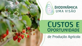 Diferenças da Agricultura Convencional Orgânica e Biodinâmica [upl. by Silrac941]