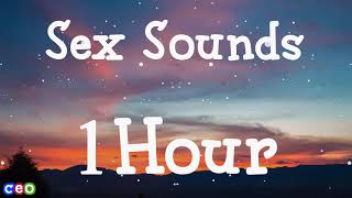 Lil Tjay  Sex Sounds  1Hour Loop   Lyrics [upl. by Candi]