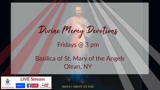 Divine Mercy Novena Day 5 [upl. by Haskel]