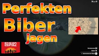 Perfekten Biber erlegen Red Dead Redemption 2 RDR2 [upl. by Yelena]