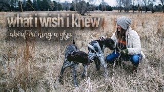 What I Wish I Knew About Owning A GSP [upl. by Ravo616]