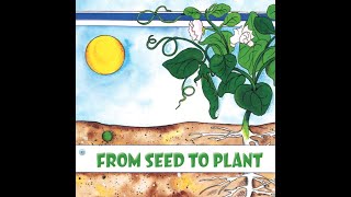 FROM SEED TO PLANT Journeys AR Read Aloud Second Grade Lesson 25 [upl. by Stoll]