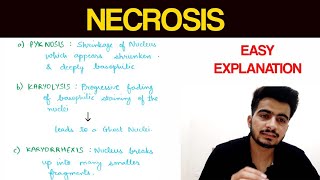 Necrosis  1  Pathology  EOMS [upl. by Eesac]