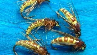 Tying the McPhail Caddis Pupa by Davie McPhail [upl. by Siubhan]