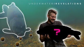 Underwater Revelations  Linch Hill  Scott Lloyd [upl. by Xever]