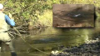 Dry Fly Fishing  Downstream Presentations [upl. by Fidelity]