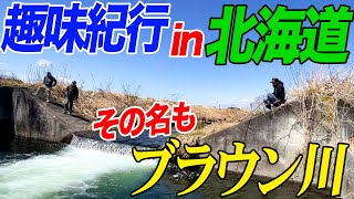 ガレヨコ趣味紀行『初の北海道釣行でブラウントラウト』ブラウントラウトが釣れ過ぎてブラウン川と呼ばれてます！ [upl. by Nolram]