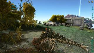 Ark Survival Evoled Stegosaurus Stego and the best way to collect berries [upl. by Trembly]