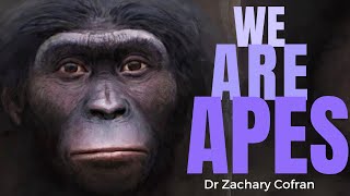 Humans Are Apes amp Heres Why  with Anthropologist ZACHARY COFRAN [upl. by Mikal328]