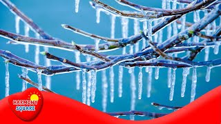 Freezing  More Grades 35 Science on the Learning Videos Channel [upl. by Esyned]