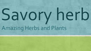 Savory Amazing herb  Health Benefits of Savory herb  Benefits of Wellness [upl. by Raama115]