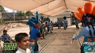 Matlachines Ejido Los Guapos Tlaltenango Zac [upl. by Annabal159]