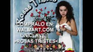 grupo bryndis  te vas con el con poema [upl. by Atimad]