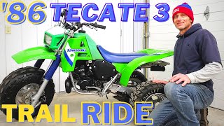 Riding 3 Wheelers Kawasaki Tecate 3 First Ride [upl. by Trina465]