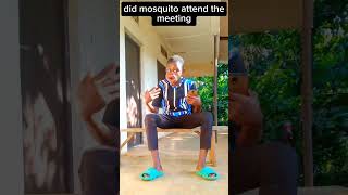 did mosquito 🦟 attend the meeting fypシ゚viral funnypictures funny duet [upl. by Kirima]