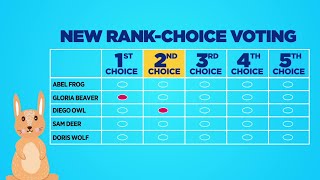 How Does Ranked Choice Voting Work [upl. by Anasus]