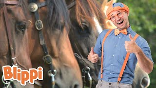 Blippi Horse Song  Blippi  Sing With Blippi  Funny Videos amp Songs [upl. by Eislel]