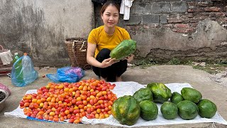 Harvest bastard oleaster green papaya go to market to sell daily life [upl. by Behn]