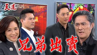 天道 EP243預告 楊夫人挑撥千手千影！兄弟倆和陳長勝決裂 決心出賣老大｜setdramatw [upl. by Anivram]