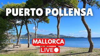 🔴 LIVE in Puerto Pollensa Majorca Mallorca  19 November 2023 [upl. by Nevil]