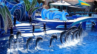 Dolphin Days Full Show at SeaWorld San Diego 2022 [upl. by Nelra648]